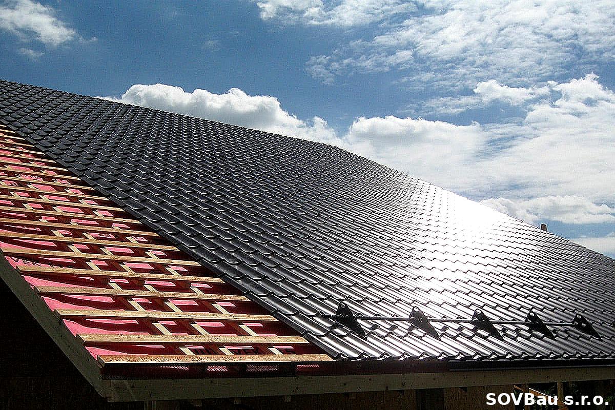 Professional Roofing